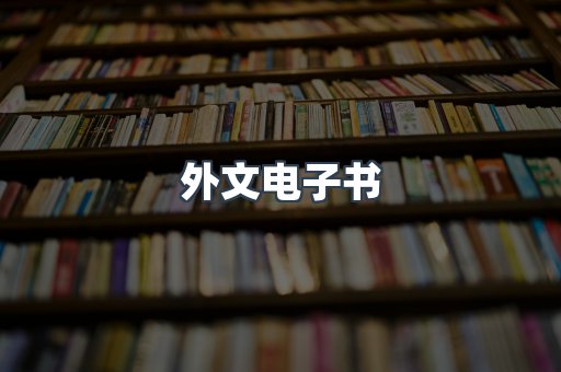 外文电子书